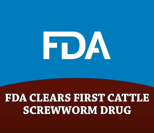 FDA Conditionally Approves First Drug for Prevention and Treatment of New World Screwworm Infestations in Cattle