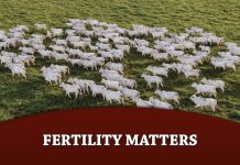 Fertility Matters