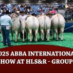 2025_TBJ-HLSR-Groups