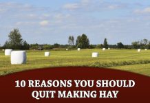 10 Reasons You Should Quit Making Hay