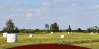 10 Reasons You Should Quit Making Hay