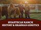 Huastecas Ranch: History, Passion & Brahman Genetics