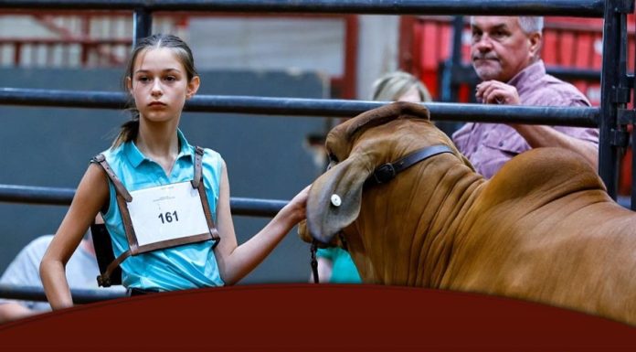 2025 Jambalaya Classic