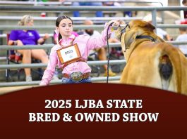 2025 LJBA State Bred & Owned Show