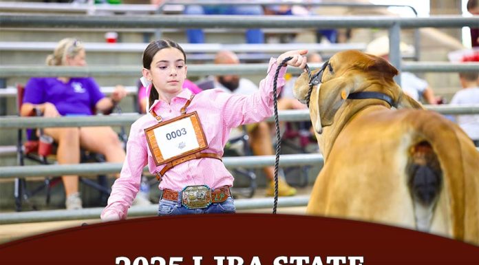 2025 LJBA State Bred & Owned Show