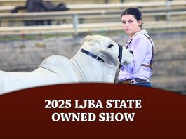 2025 LJBA State Owned Show