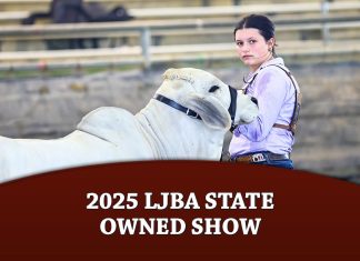 2025 LJBA State Owned Show