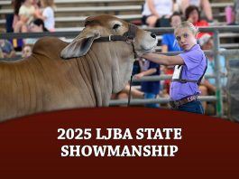 2025 LJBA Showmanship