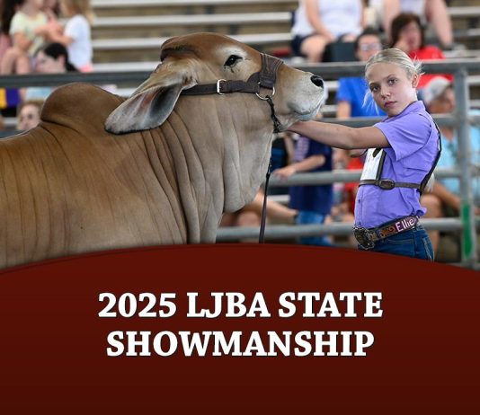 2025 LJBA Showmanship