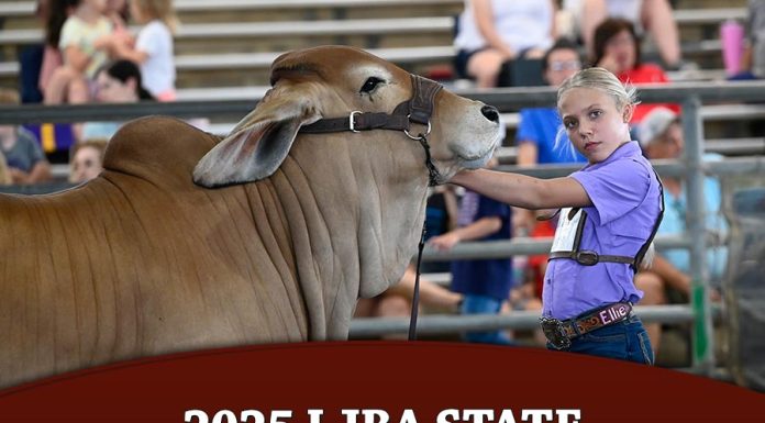 2025 LJBA Showmanship