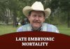 Late Embryonic Mortality