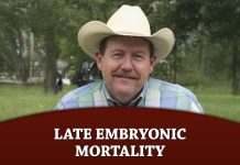 Late Embryonic Mortality
