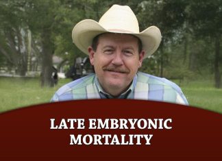 Late Embryonic Mortality