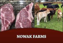 Nowak Farms