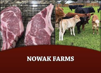 Nowak Farms