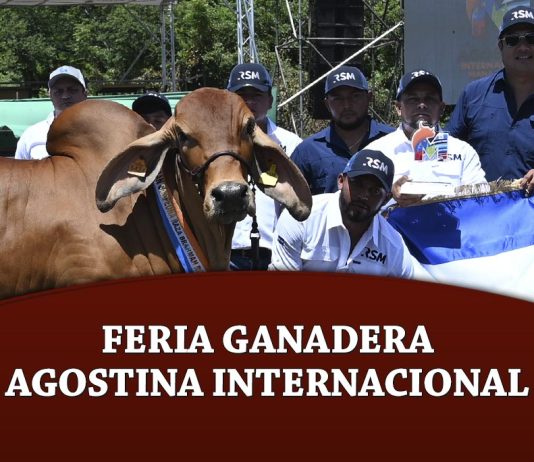 Feria Ganadera Angostina Internacional