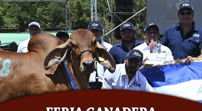 Feria Ganadera Angostina Internacional