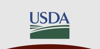 Cattle Market Outlook