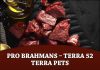 Pro Brahmans – Terra 52 Terra Pets