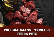 Pro Brahmans – Terra 52 Terra Pets