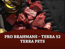 Pro Brahmans – Terra 52 Terra Pets