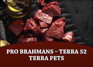 Pro Brahmans – Terra 52 Terra Pets