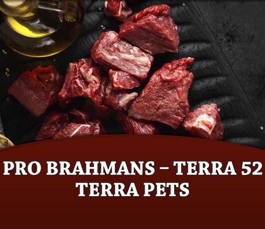 Pro Brahmans – Terra 52 Terra Pets
