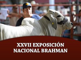 XXVII Exposición Nacional Brahman
