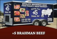 +S Brahman Beef