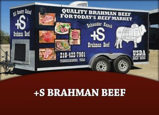 +S Brahman Beef