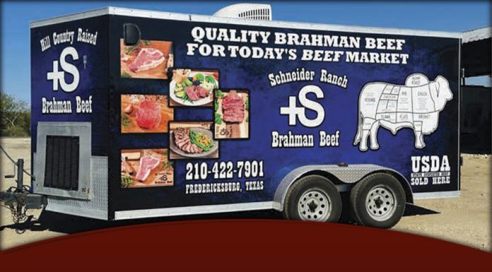 +S Brahman Beef