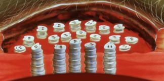 The New World Screwworm