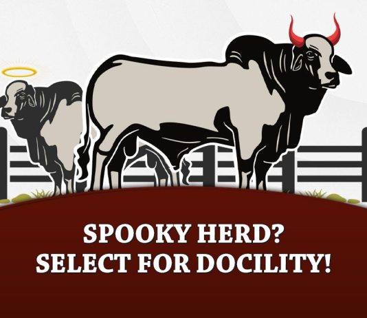 Spooky Herd? Select for Docility!