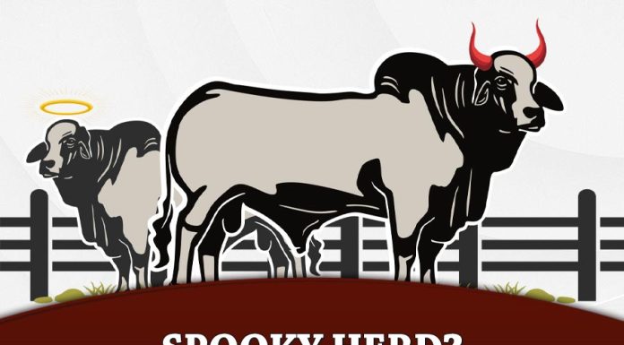 Spooky Herd? Select for Docility!