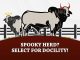 Spooky Herd? Select for Docility!