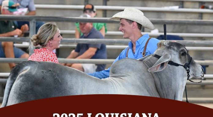 2025 Louisiana Sugar Classic