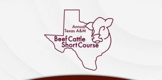 2025 Texas A&M Beef Cattle Short Course