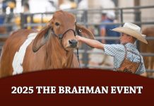2025 The Brahman Event