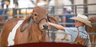 2025 The Brahman Event