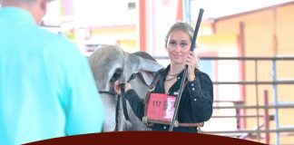 2025 Washington County Fair