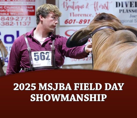 2025 MSJBA Field Day Showmanship