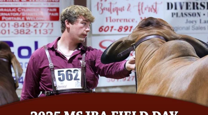 2025 MSJBA Field Day Showmanship