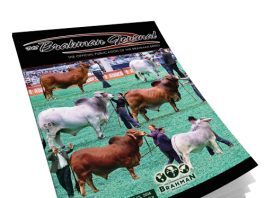 2026 April – Brahman Journal