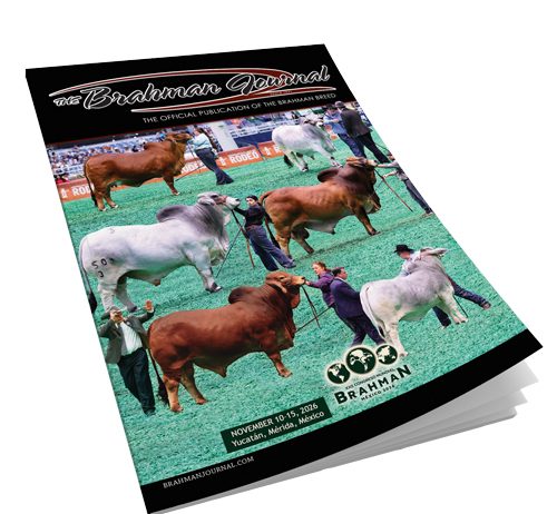 2026 April – Brahman Journal