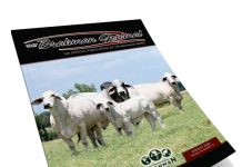 2026 August – Brahman Journal