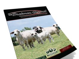 2026 August – Brahman Journal