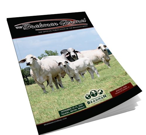 2026 August – Brahman Journal