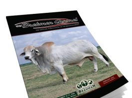 2026 February- Brahman Journal