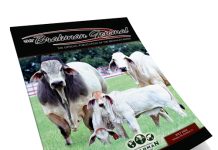2026 July – Brahman Journal