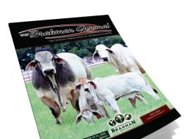 2026 July – Brahman Journal